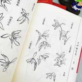 6册 芥子园画谱山水梅兰竹菊花卉翎毛人物集满庭芳工笔白描百花画谱天下有山堂墨竹兰石谱古代经典画谱集成中国传统文化经典荟萃