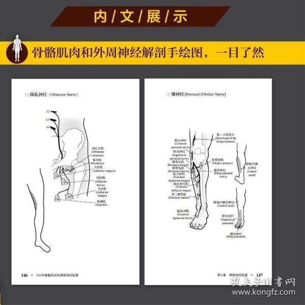 3分钟骨骼肌肉和周围神经检查