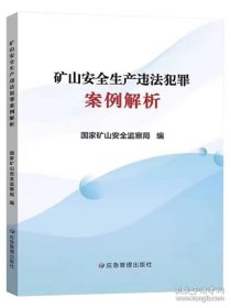 矿山安全生产违法犯罪案例解析