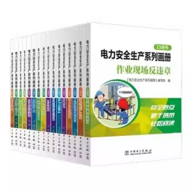 (全套共16册)电力安全生产系列画册（口袋书）