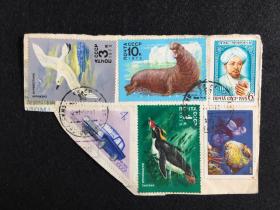 苏联邮票1978年南极动物3枚 其它3枚 信销剪片