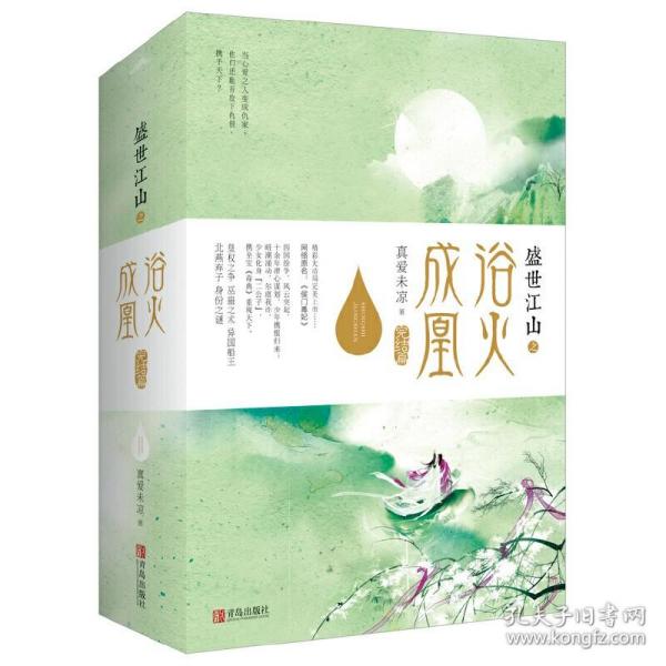 盛世江山之浴火成凰：完结篇（上中下）