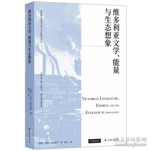 维多利亚文学、能量与生态想象