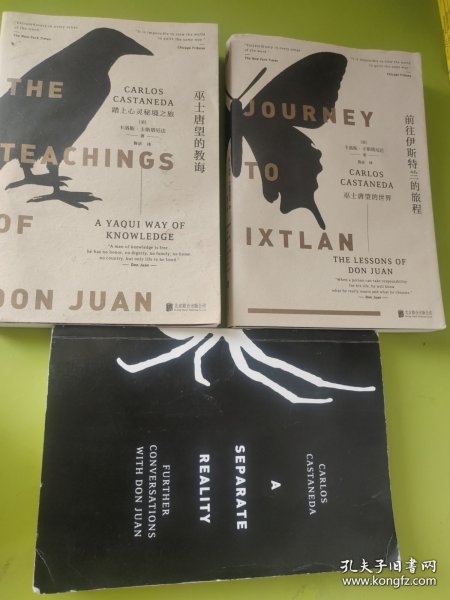 巫士唐望的教诲：踏上心灵秘境之旅