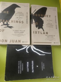 巫士唐望的教诲：踏上心灵秘境之旅