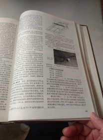 中国大百科全书 体育【甲本精装】