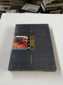 外科手術(shù)圖解 胃腸手術(shù)分冊