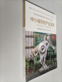 中小城市的产业逆袭/“区域和城市规划建设管理优秀案例”系列丛书