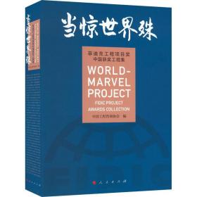 当惊世界殊-菲迪克工程项目奖中国获奖工程集