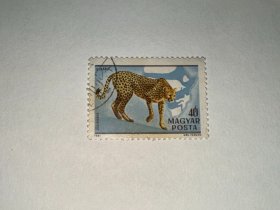 匈牙利信销邮票 豹子