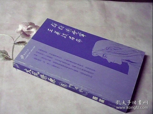 三国群英传:火凤燎原6