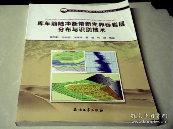 库车前陆冲断带新生界砾岩层分布与识别技术