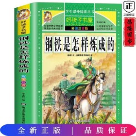 钢铁是怎样炼成的/新课标学生课外必读丛书