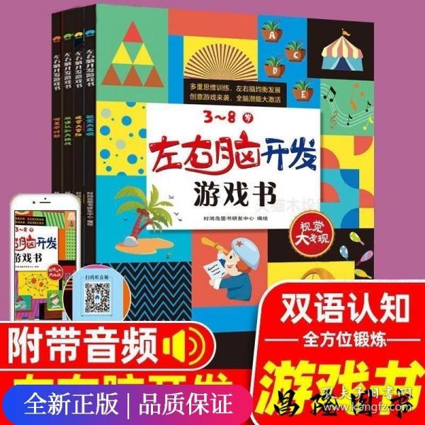 左右脑开发游戏书 （套装4册）100多幅奇趣情景，900多个场景细节，近300个玩出花样的益智游戏，开启3~8岁孩子多元化思维模式