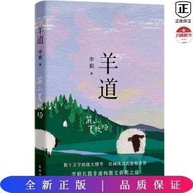 羊道前山夏牧场