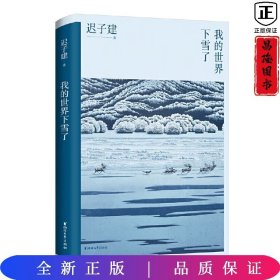 我的世界下雪了（迟子建散文系列）