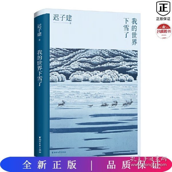 我的世界下雪了（迟子建散文系列）