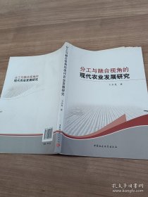 分工与融合视角的现代农业发展研究