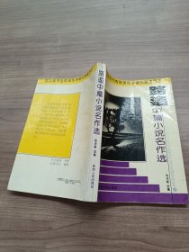 路遥中篇小说名作选