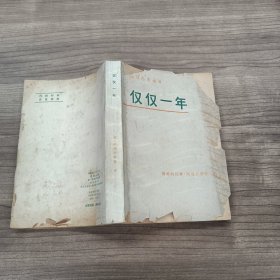 仅仅一年