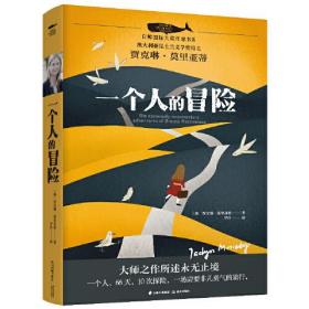 白鲸国际大奖作家书系：一个人的冒险（儿童小说）