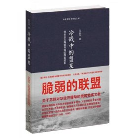 九州   冷战中的盟友：社会主义阵营内部的国家关系   沈志华  外观稍旧略有磕碰介意勿拍 溢价本书高于定价销售