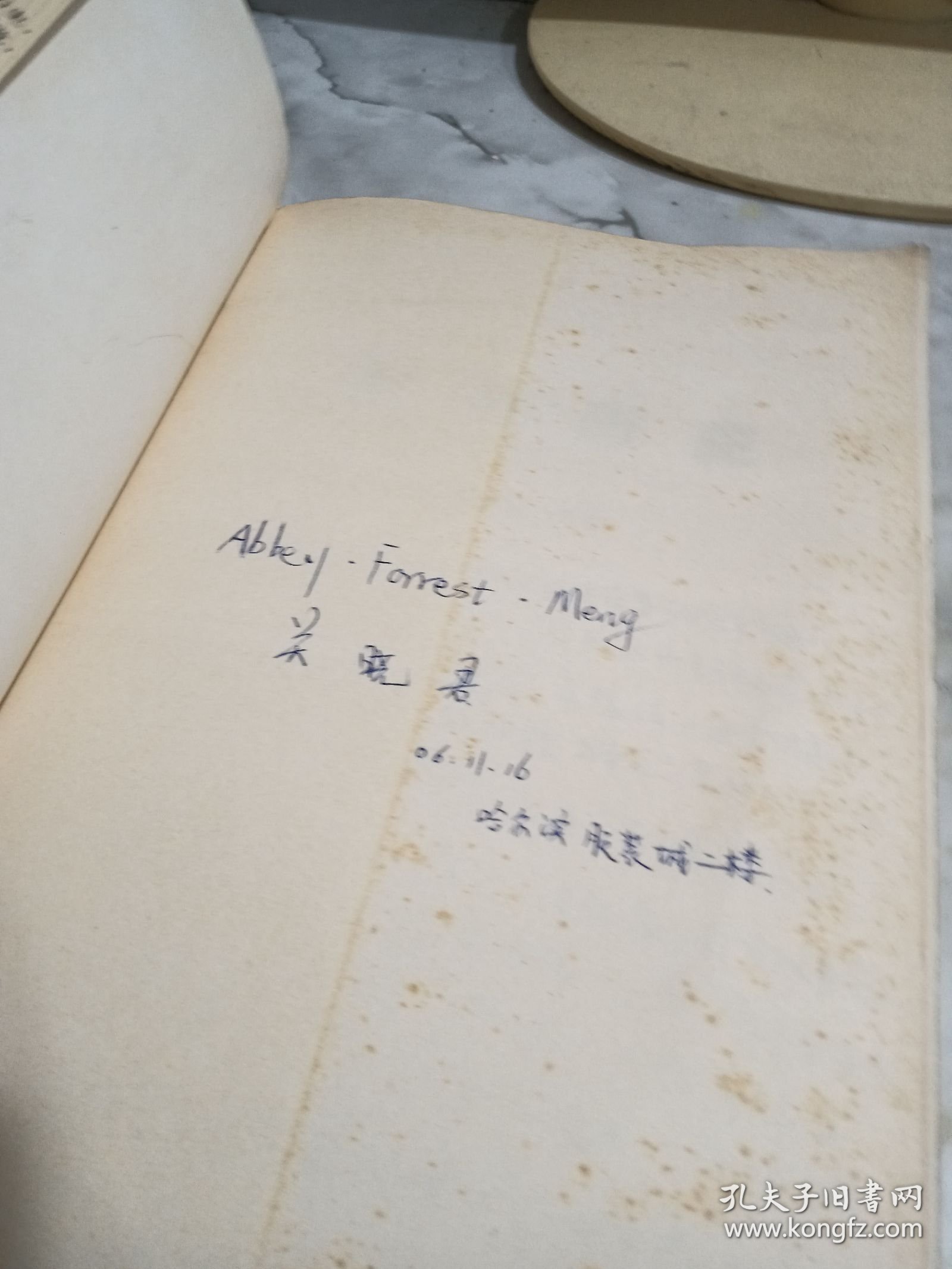 欧洲历史 有黄斑 字迹 破损