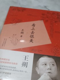 看上去很美 未拆封