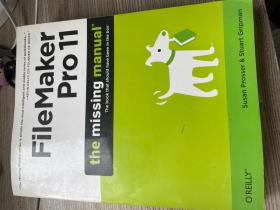 FileMaker Pro 11: The Missing Manual （Missing Manuals）