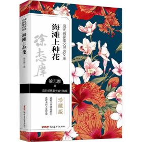 B现代名家美文经典文库：海滩上种花