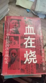 血在烧-中日长沙四次会战纪实(潇湘战史纪实文学丛书)