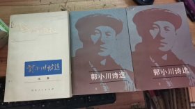郭小川诗选（上下）+续集（全三册合售）