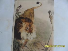 狮——刘继卣绘画（1980年印）