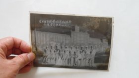 东北林学院第四届学生总会全体委员会合影照片底片（1960年10月1日）
