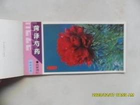 菏泽芍药邮资明信片（少见品种）