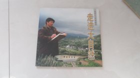 走进大自然——张民生山水画新作（仅印2千册