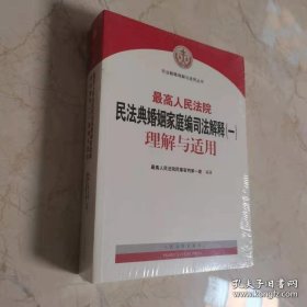 最高人民法院民法典婚姻家庭编司法解释(一)理解与适用