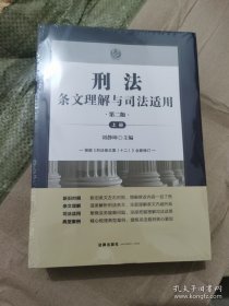 刑法条文理解与司法适用第二版上下册