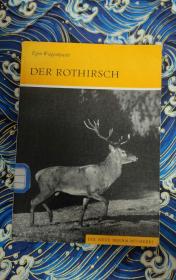 DER ROTHIRSCH