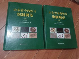 山东省中药饮片炮制规范  上下  2012年版（山东科学技术出版社）【自然旧，正版。详见书影，实物拍照】