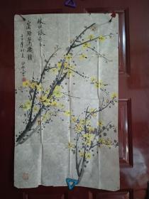 许日丰-迎春花  精品国画1张（宣纸，软片，画心尺寸：80*49cm）作品终身保真【货号：西4-343】详见书影，实物拍照