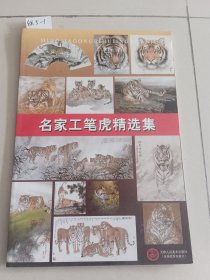 名家工笔虎精选集（天津人民美术出版社）【货号：铁5-1】自然旧，正版。详见书影，实物拍照