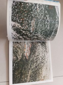 王守志画集-山水篇（王守志/绘）著名书画家魏启后先生藏书，有钤印。山东文艺出版社【货号：阳-89】自然旧。正版。详见书影，实物拍照