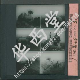 玻璃幻灯片 北京长陵石像生（Statsskolernes Centralsamling）出品