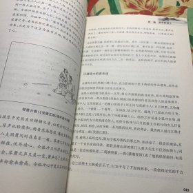 国术魂：中国武术的精神世界 /徐光兴 安徽人民出版社 9787212083915