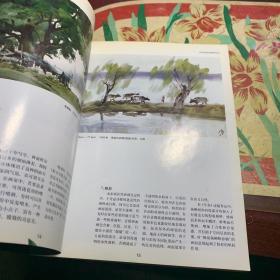 水彩静物 风景画--画法图解