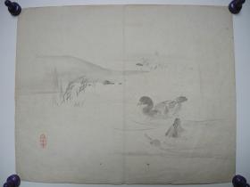 【日本书画】鸭鸭戏水