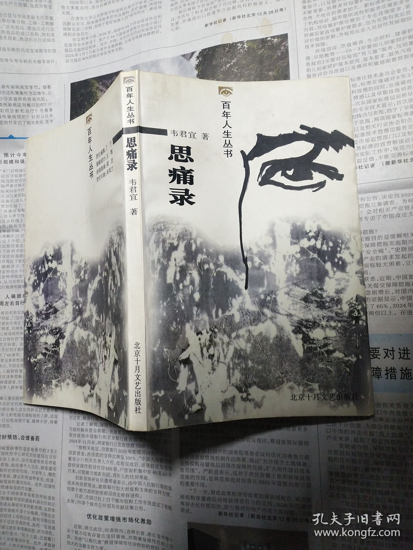 思痛录（百年人生丛书）