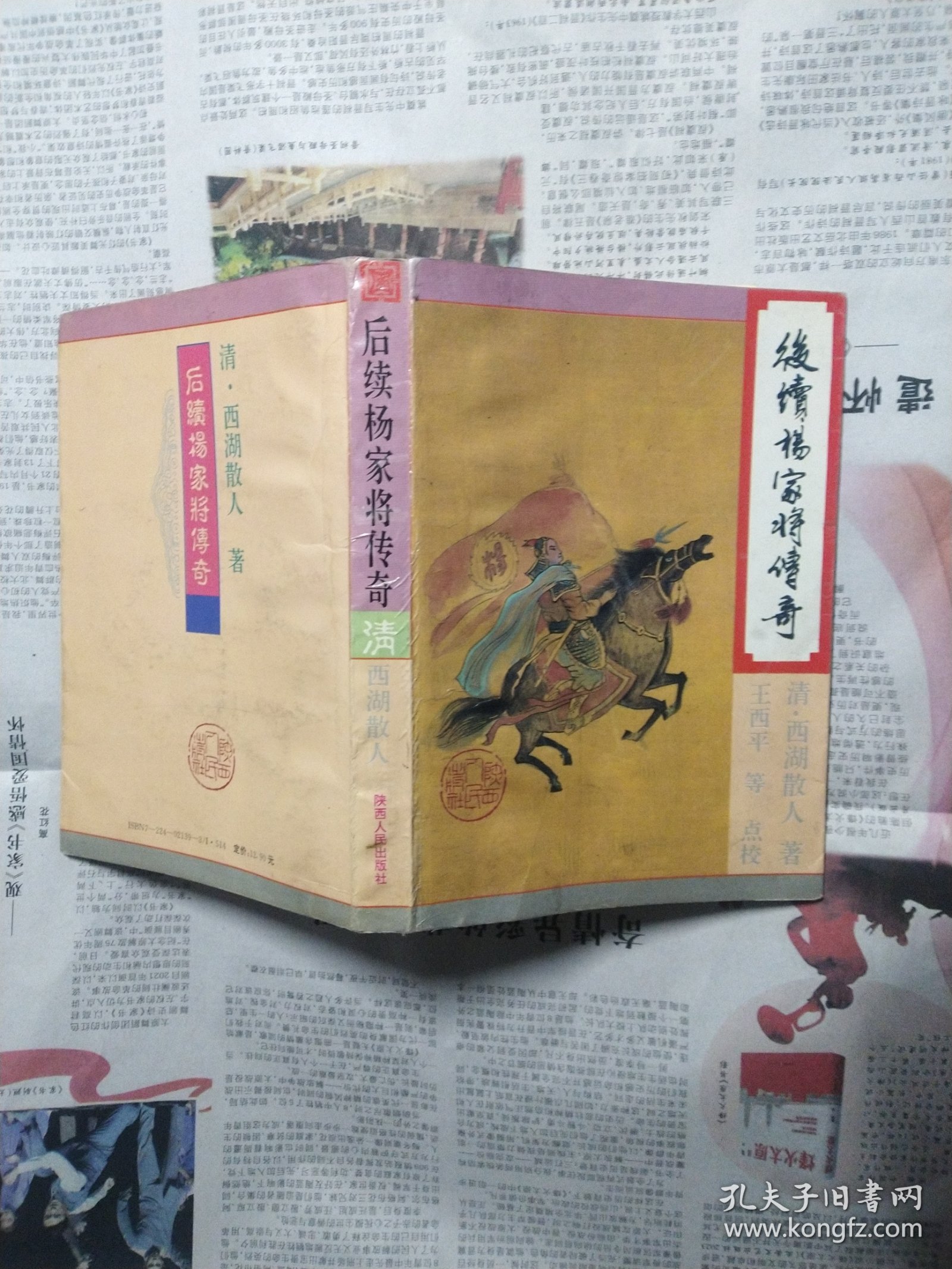 后续杨家将传奇