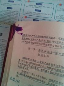 词与音乐关系研究